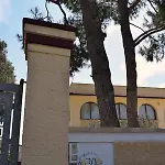 Le Mimose B&B