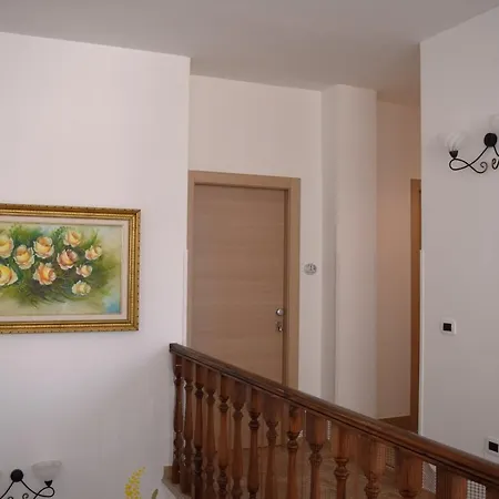 Le Mimose