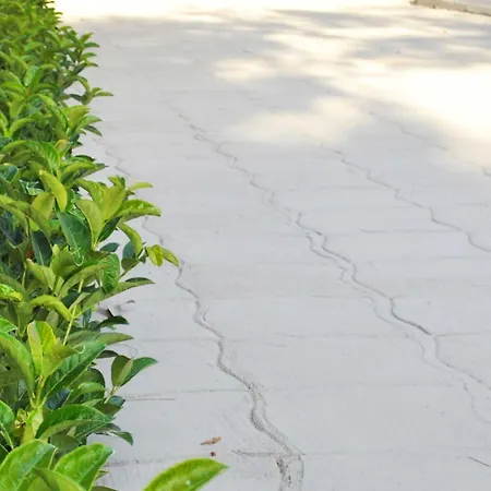 Le Mimose Отель типа 