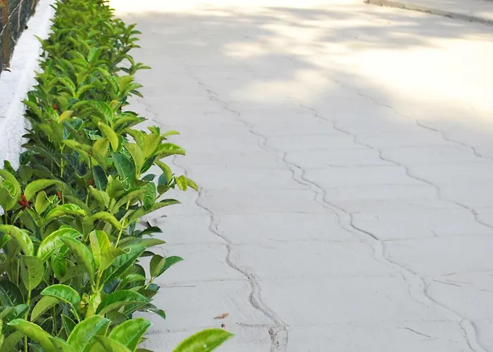 Le Mimose Bed & Breakfast